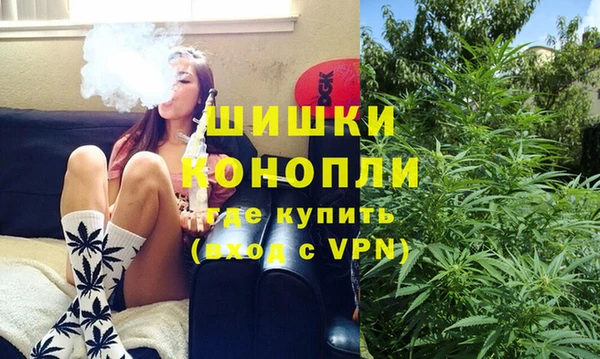 метадон Инсар