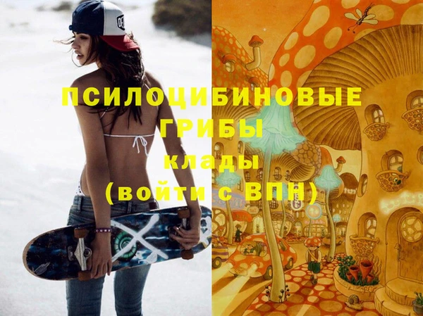 метадон Инсар